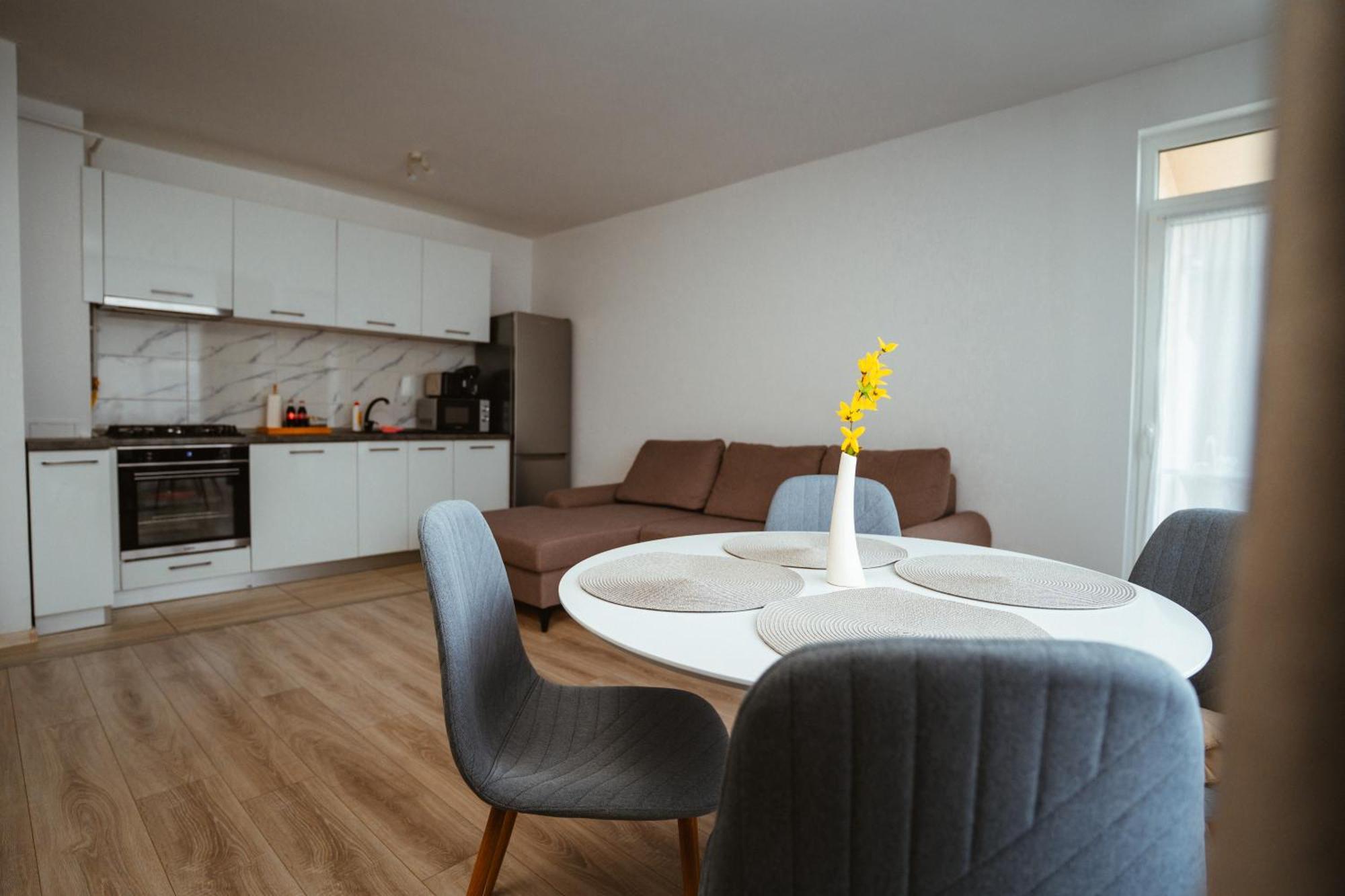 Maria'S Premium Suite Baia Mare Extérieur photo